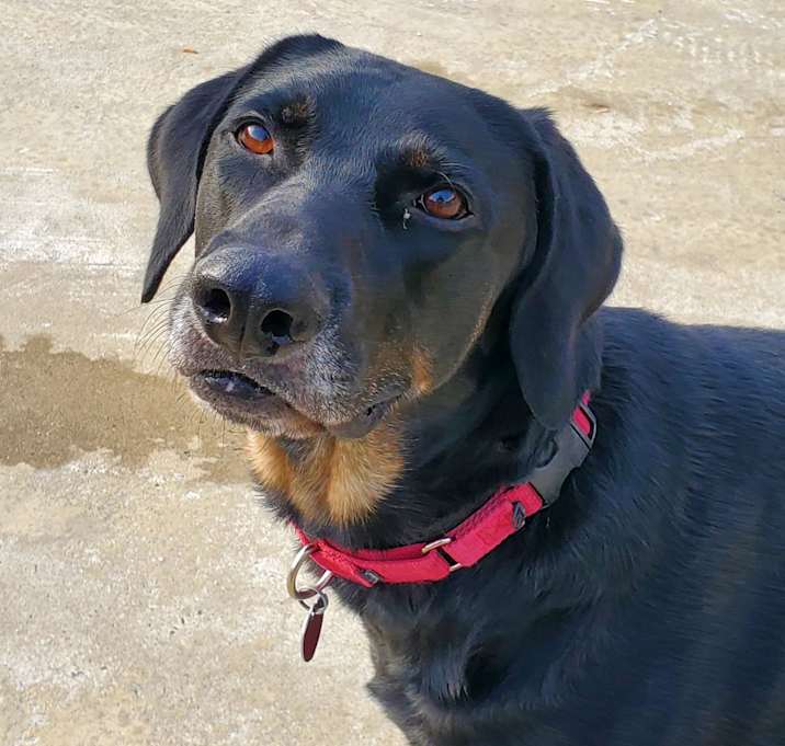 Photo of Benny
