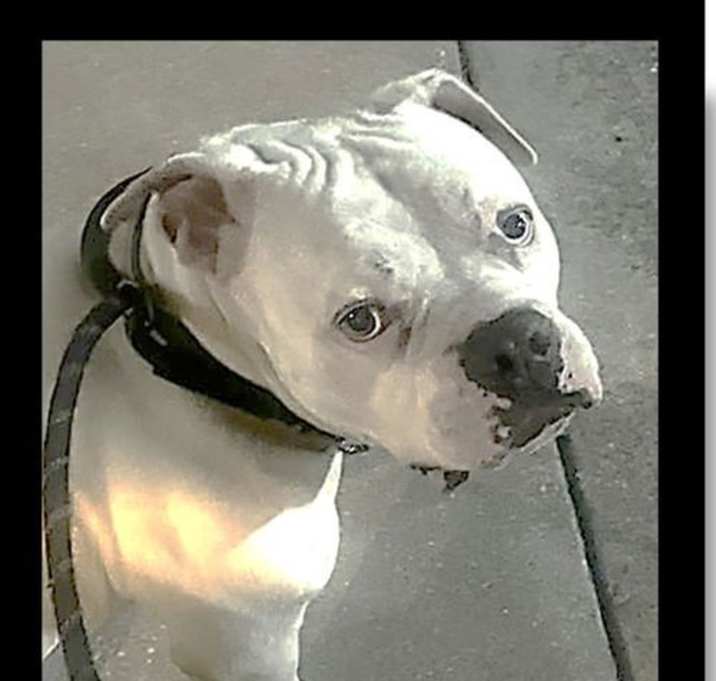Photo of Jasper