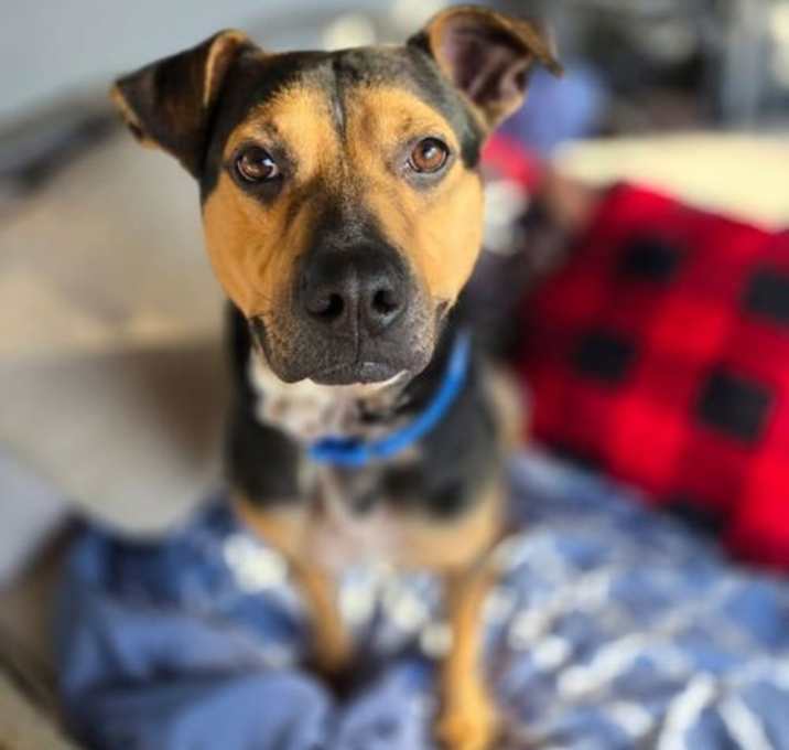 Photo of King