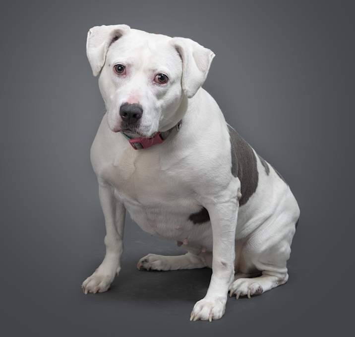 Photo of Dumplin
