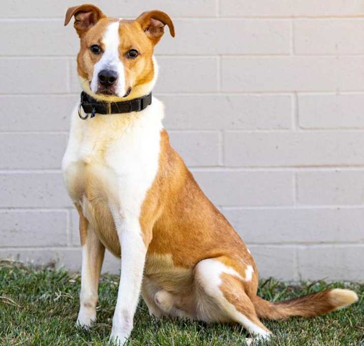 Photo of Ace