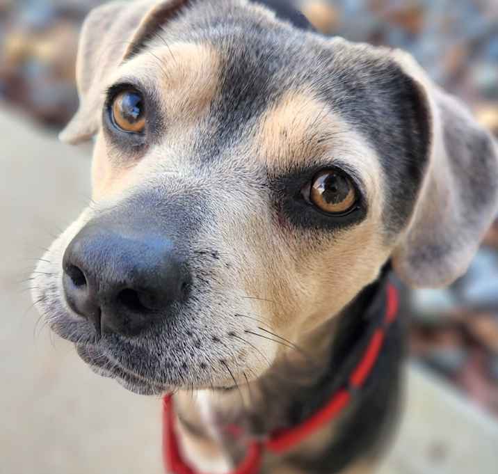 Photo of Feta