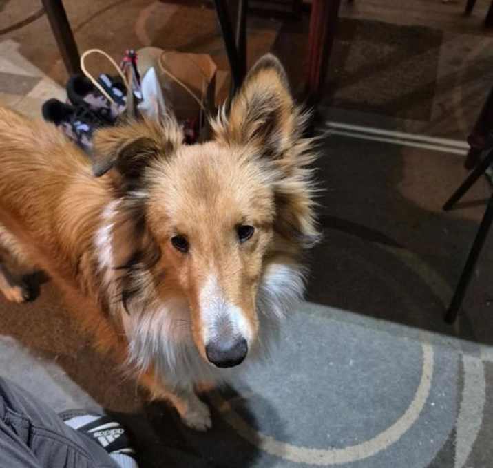Photo of Skip