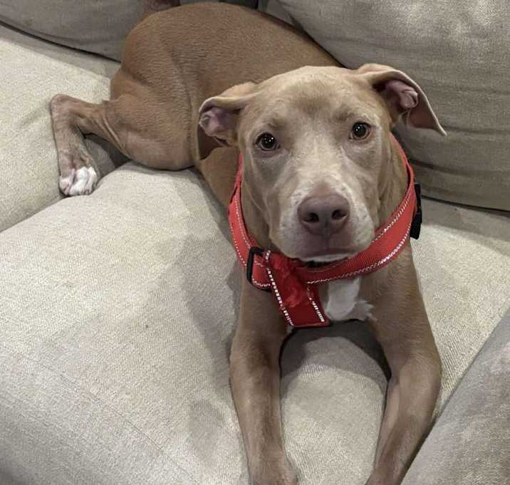 Photo of ARCHER