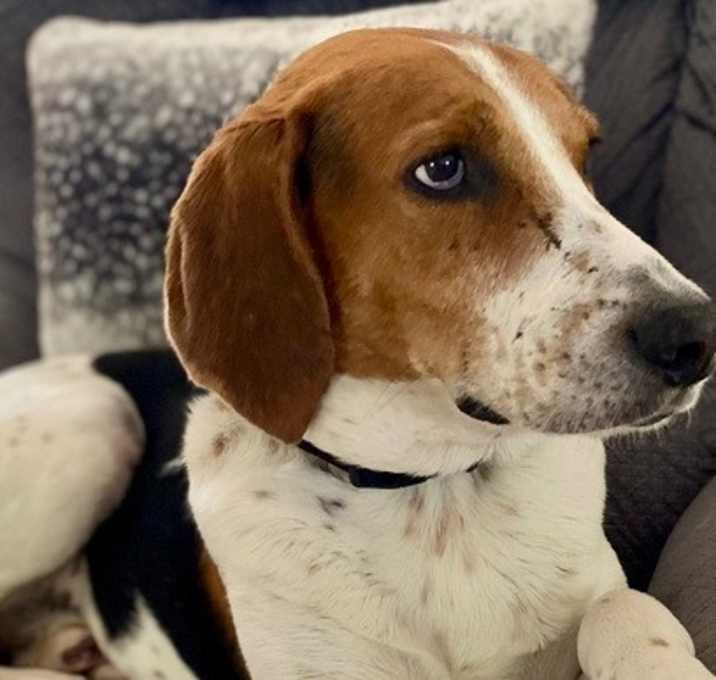 Photo of Handsome
