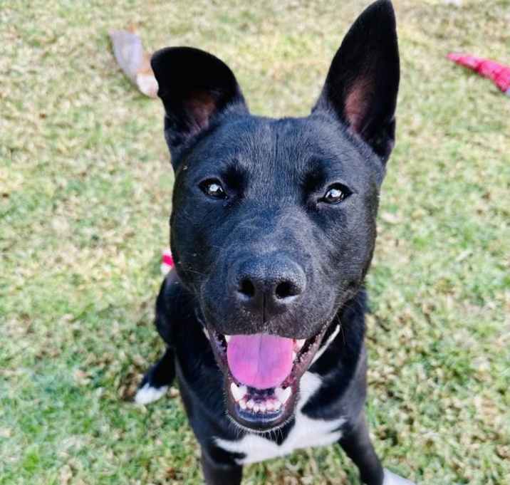 Photo of OLIVER