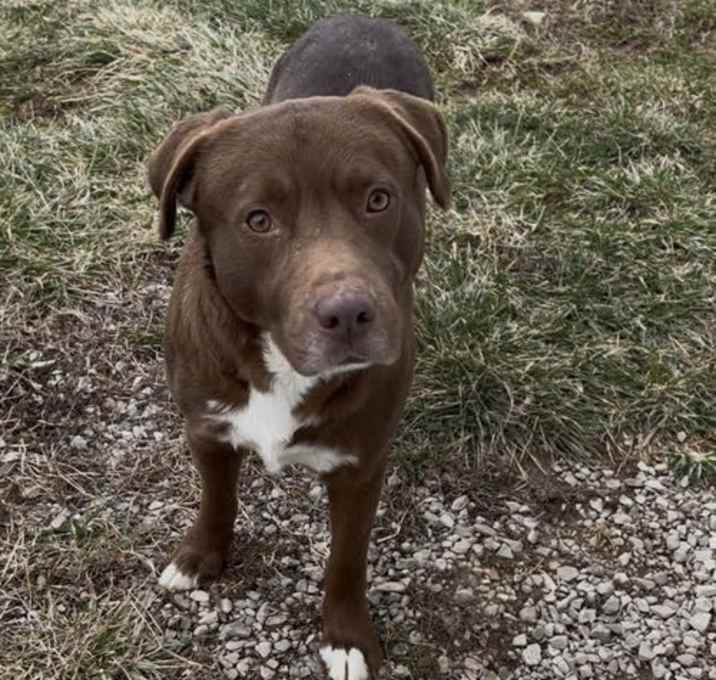 Photo of Remy