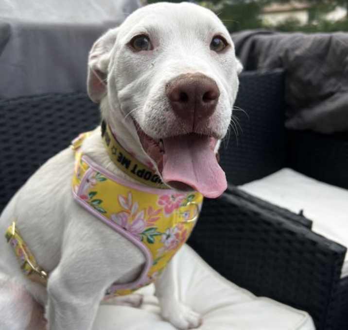 Photo of Baby