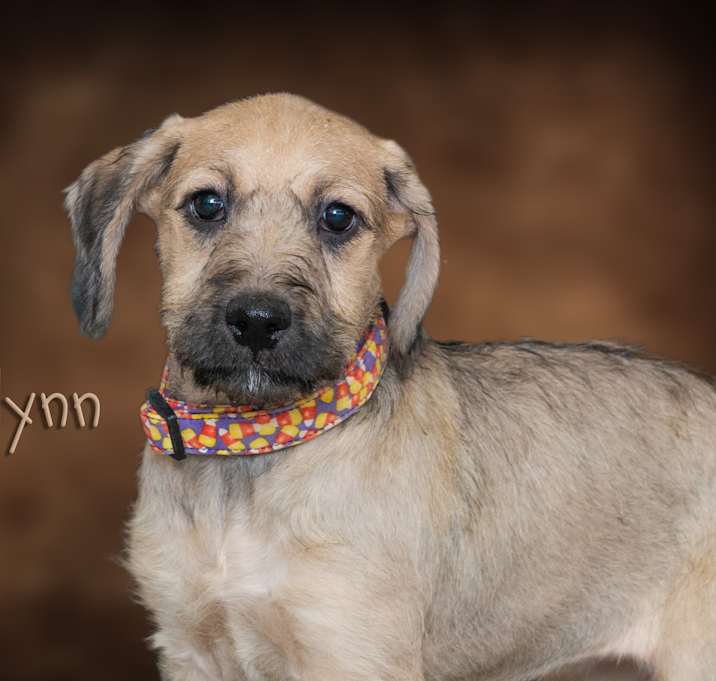 Photo of Icelynn