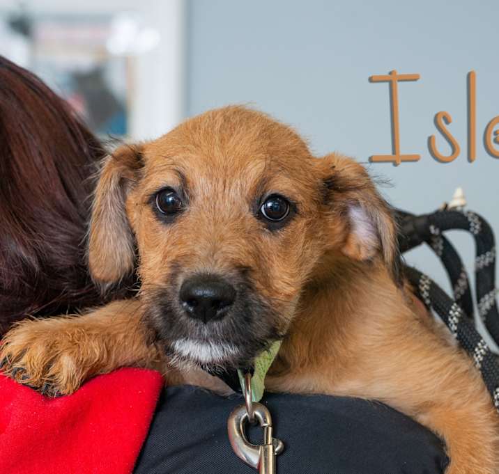 Photo of Isla