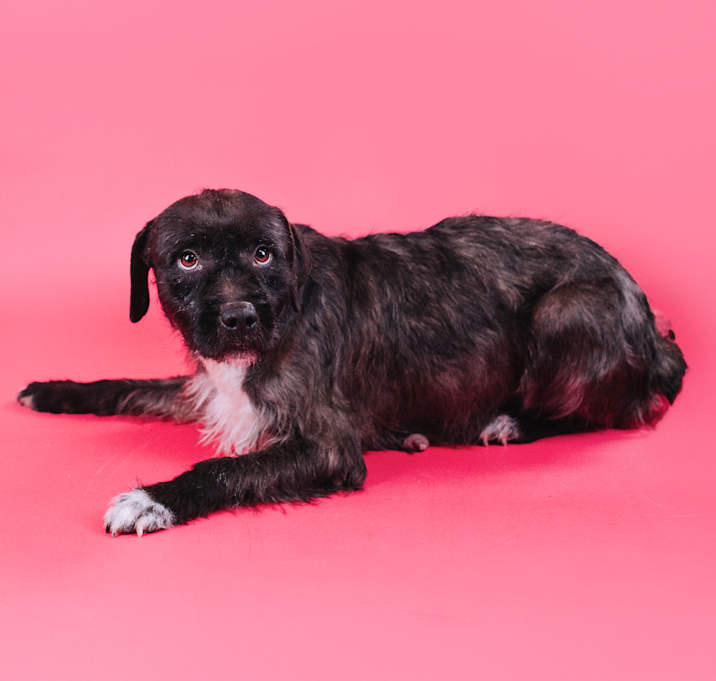 Photo of Hester
