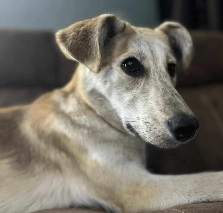 Photo of Bepsi