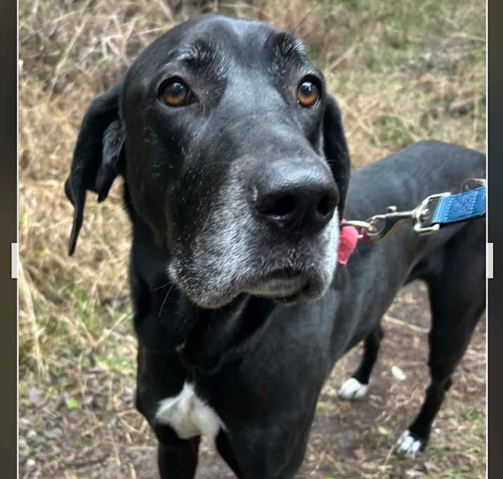 Photo of DAISY MAE