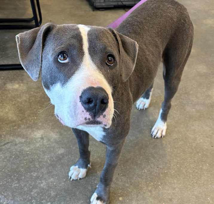 Photo of Daisey