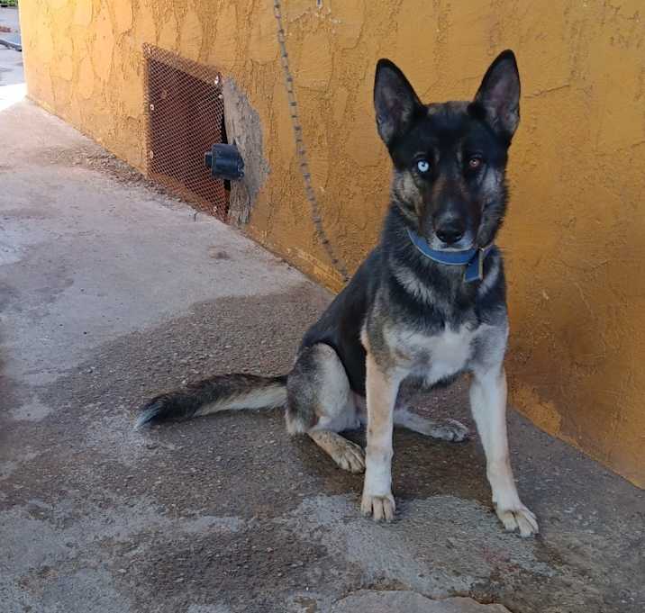 Photo of Suki