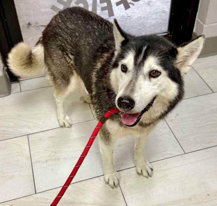 Photo of Sasha