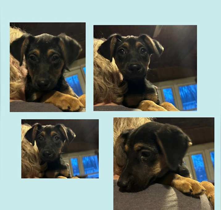 Photo of Winnie