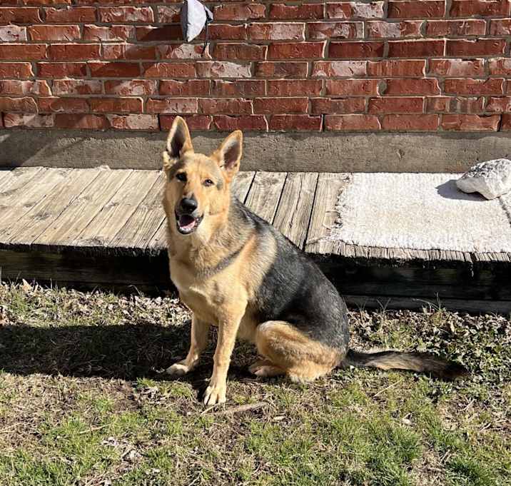 Photo of Neela