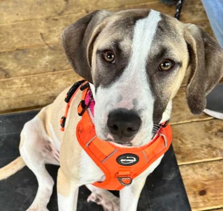 Photo of Maggie
