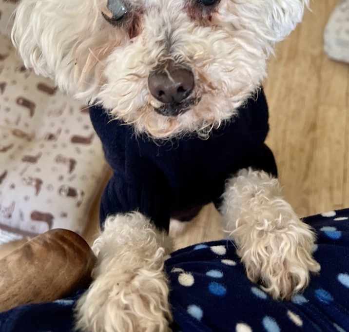 Photo of Betty
