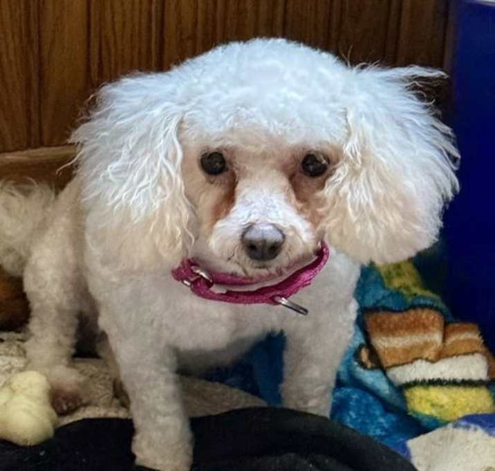 Photo of Libby
