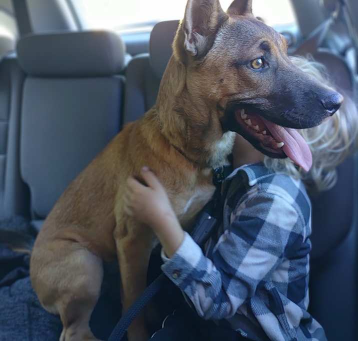 Photo of Chewy