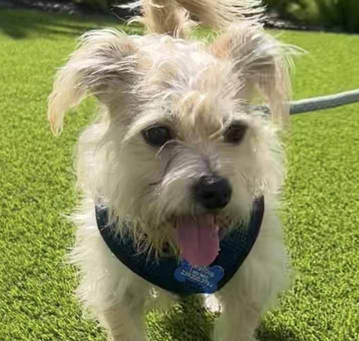 Photo of Duke