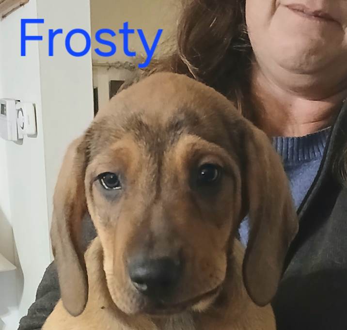Photo of Snowy
