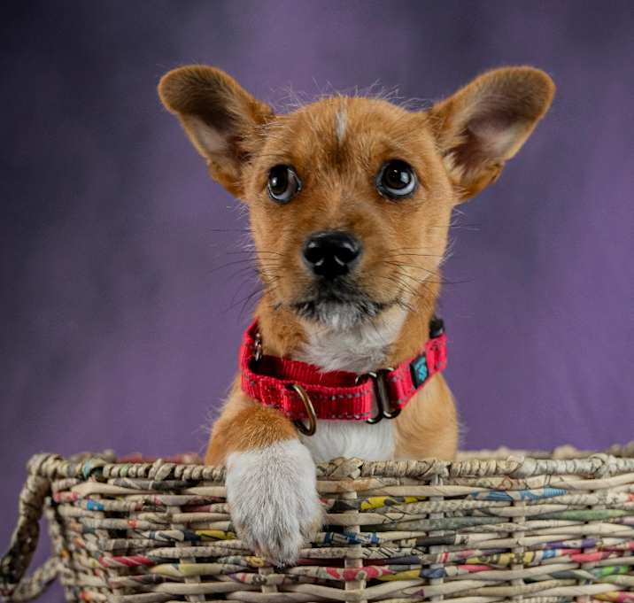Photo of Fred