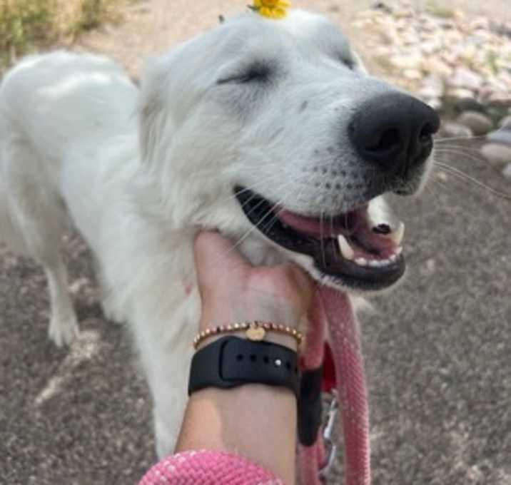Photo of Nala