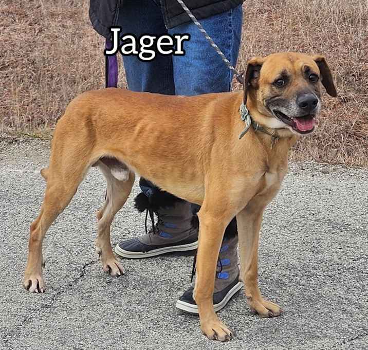Photo of Jager
