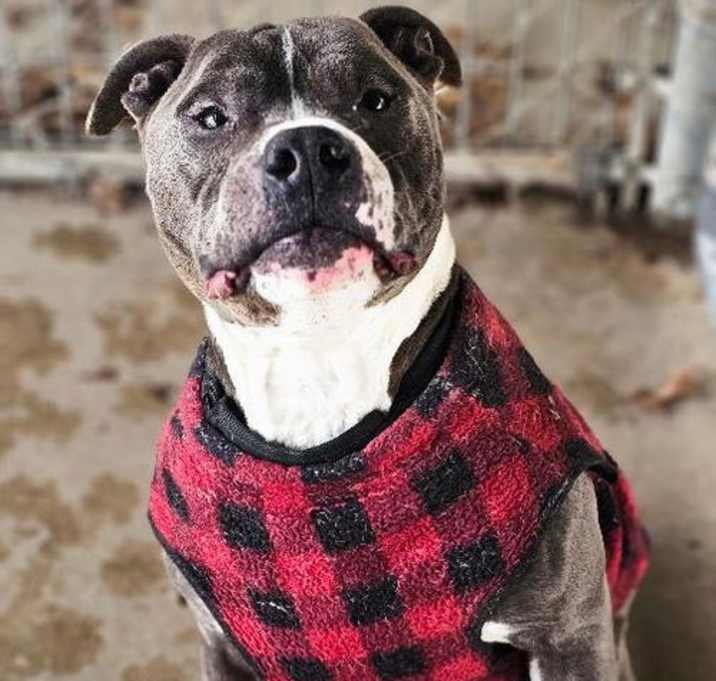 Photo of SNOOP DAWG