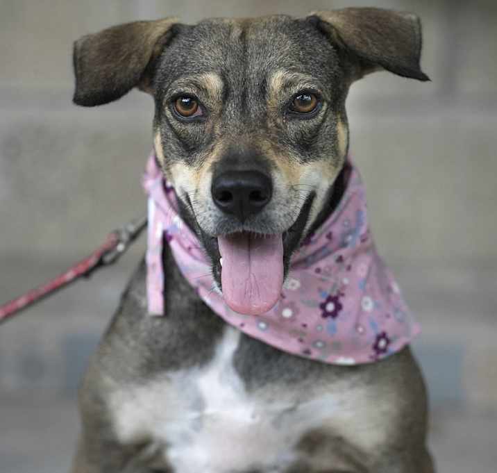 Photo of Lola