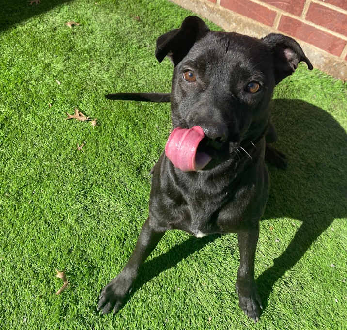 Photo of Buster