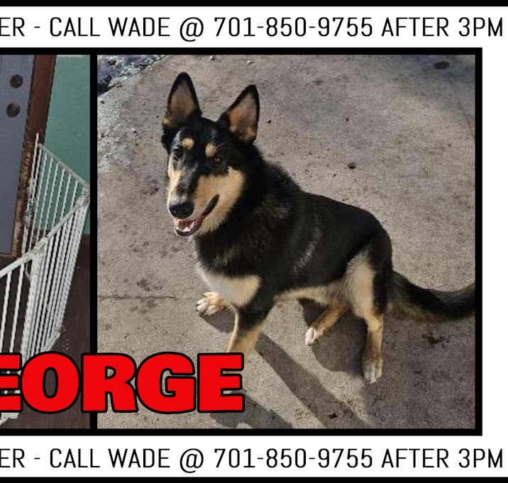 Photo of George-COURTESY LISTING