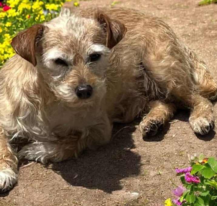 Photo of Phoebe