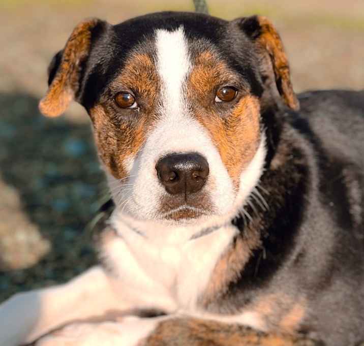 Photo of Kyzer