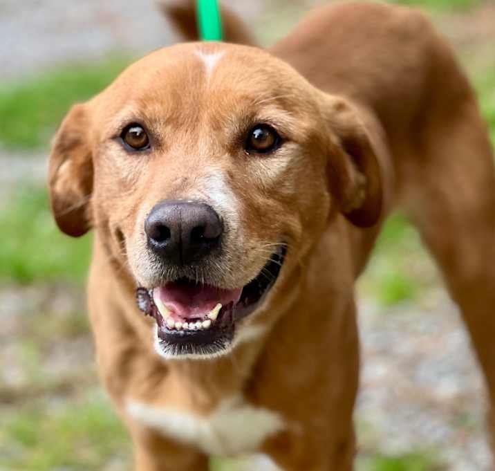 Photo of Reggie