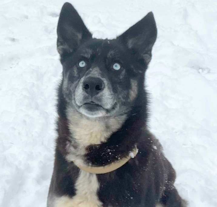Photo of Furguson