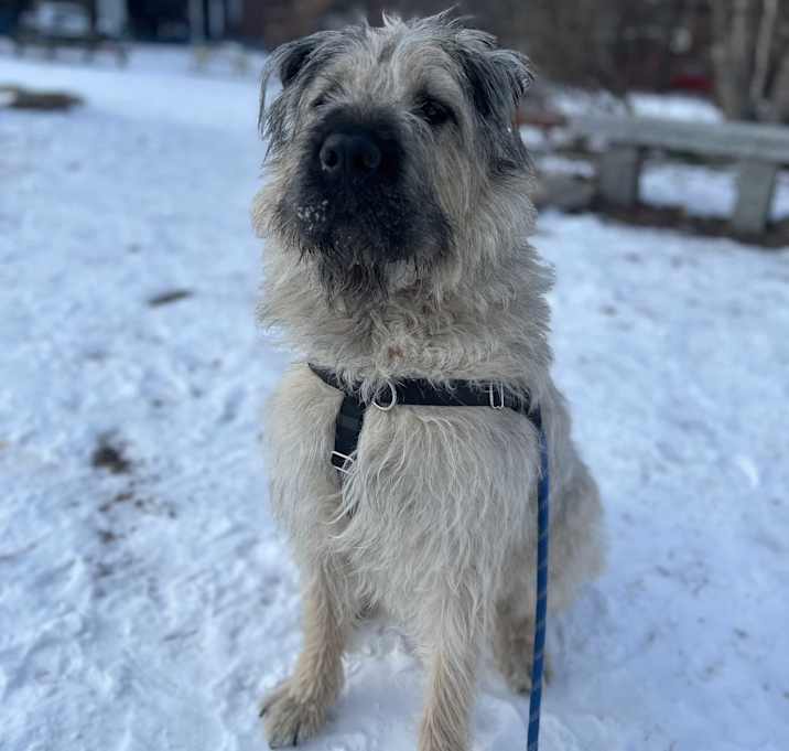 Photo of Walter