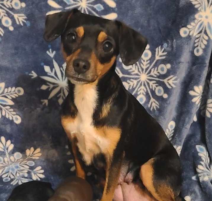 Photo of Penelope