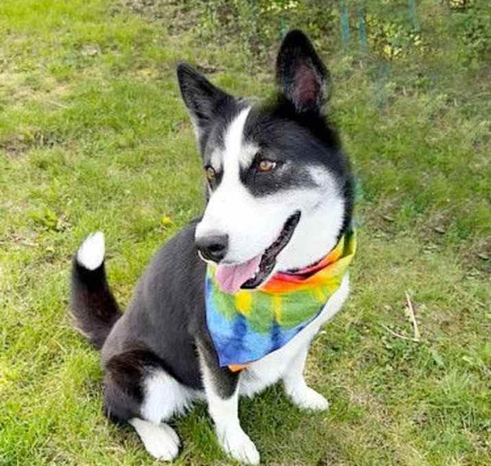 Photo of **WINNIE**
