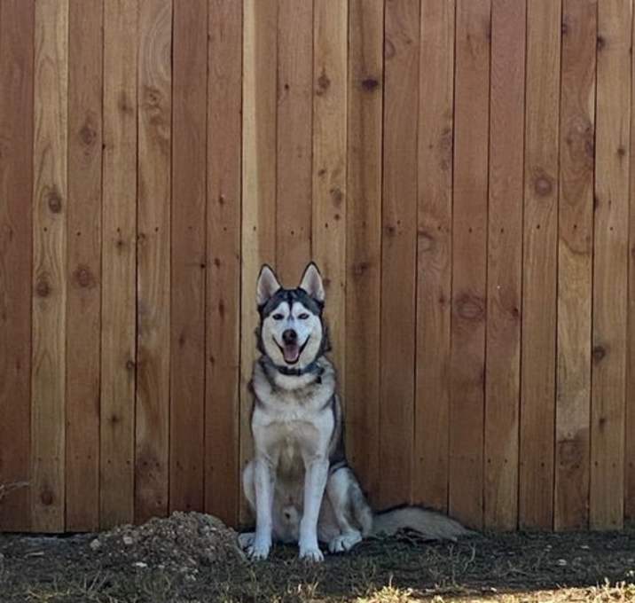 Photo of Cerberus