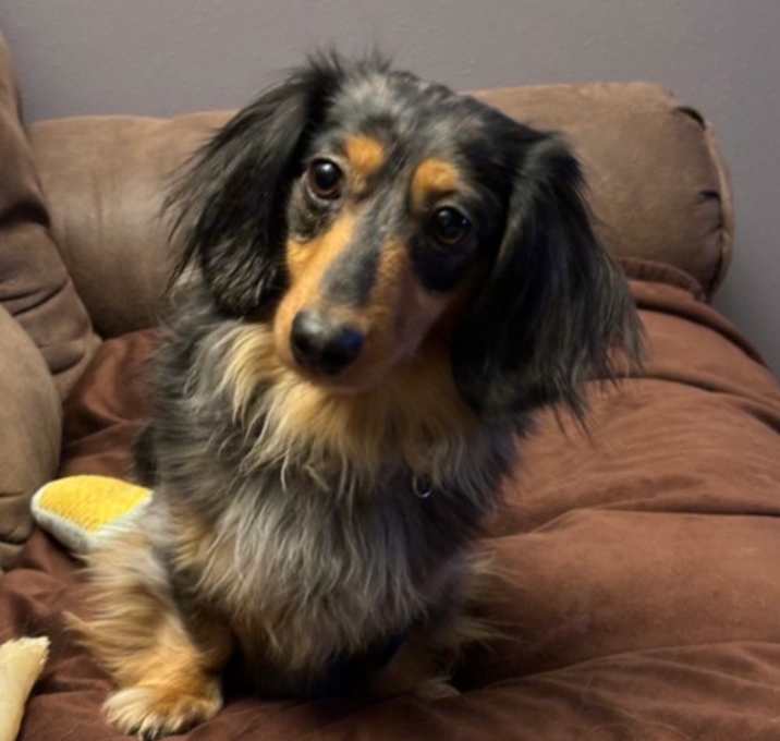 Photo of Bean
