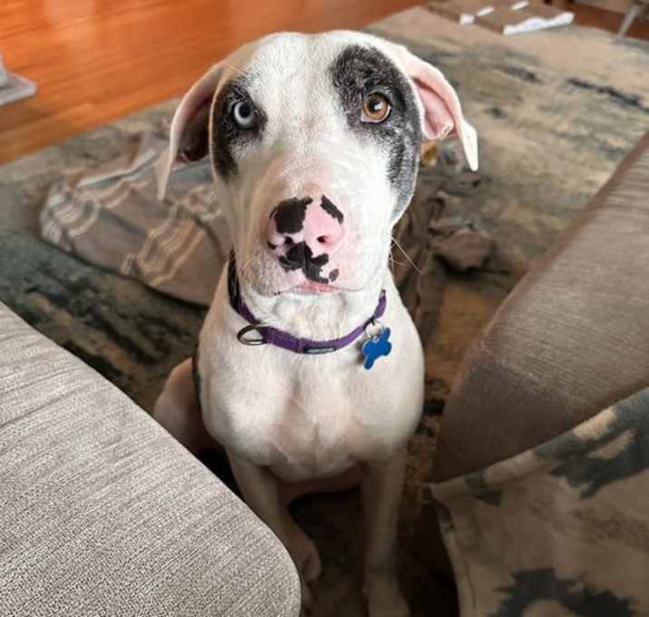 Photo of Buffy
