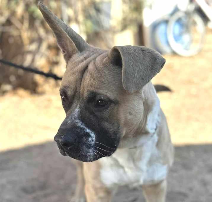 Photo of BILLY