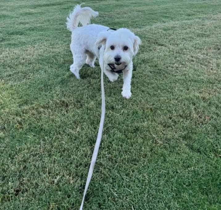 Photo of MILLIE Dynamic Duo!