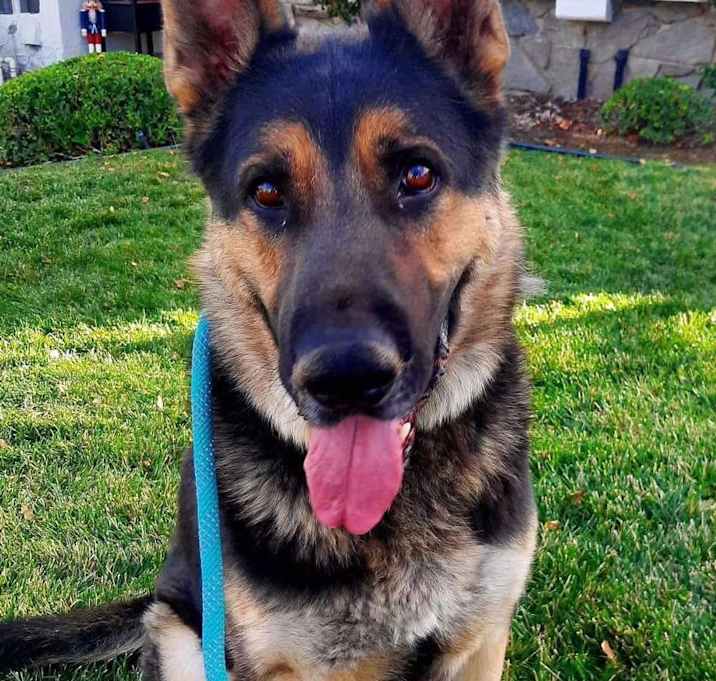 Photo of Parker