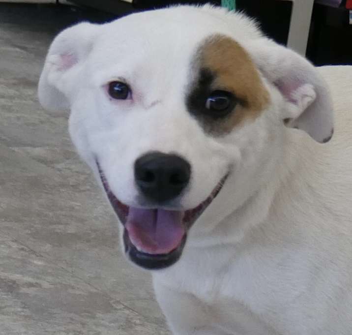 Photo of titan