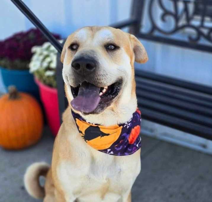 Photo of Shiloh